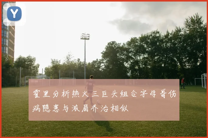 霍里分析热火三巨头组合字母哥伤病隐患与浓眉乔治相似